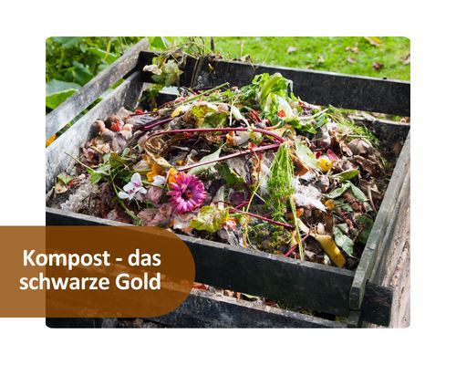 Kompost - das schwarze Gold
