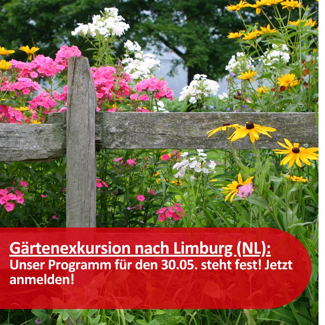 Verschiedene bunte Blumen hinter einem Gartenzaun aus Holz. in einem roten Banner ist zu lesen: G&auml;rtenexkursion nach Limburg (NL): Unser Programm f&uuml;r den 30.05. steht fest! Jetzt anmelden!