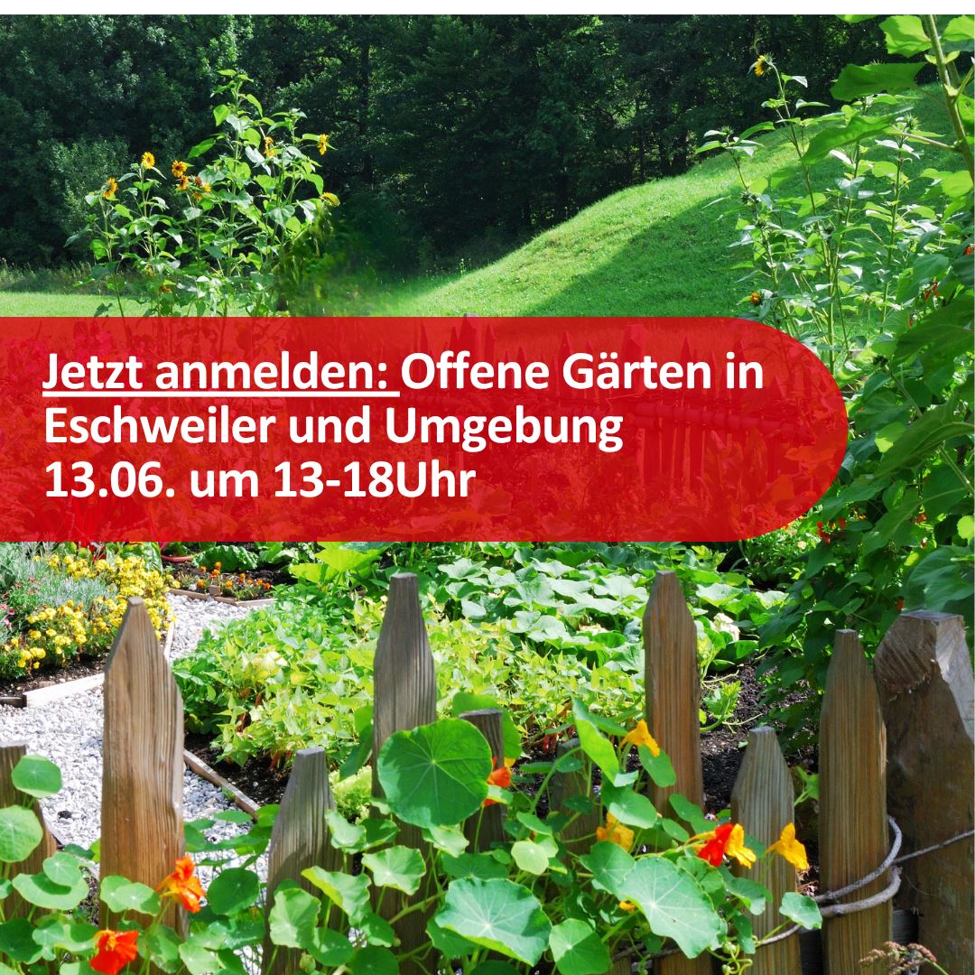 Zu sehen ist ein Garten mit davor stehendem Gartenzaum. Blumen ranken sich um die Zaunlatten. In einem roten Banner steht der Text: Jetzt anmelden: Offene G&auml;rten in Eschweiler und Umgebung. 13.06. um 13-18Uhr